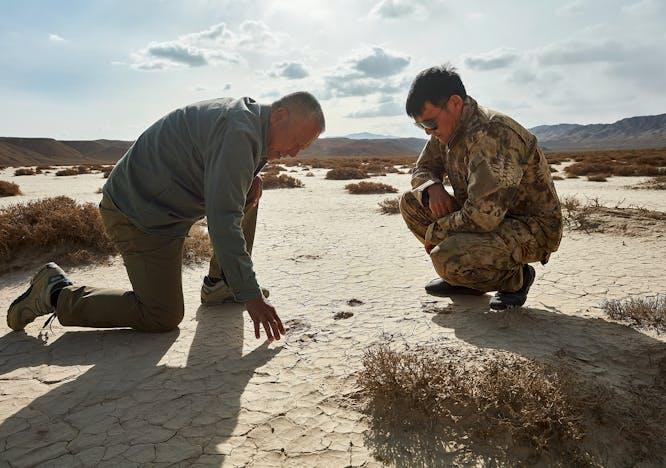 2023 Rolex Awards for Enterprise Laureate Liu Shaochuang is a Chinese remote sensing specialist on a mission to save one of Asia’s last large wild animals, the wild camel. © Rolex/Liu Xiaoxue